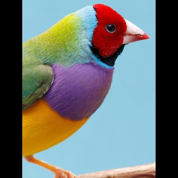 Meet your Posher, C - Picture 3 of 6